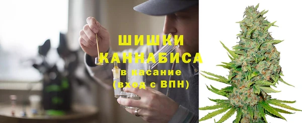 ГАЛЛЮЦИНОГЕННЫЕ ГРИБЫ Абаза