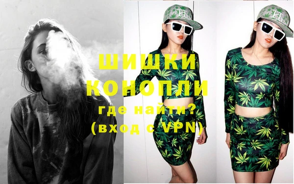 ГАЛЛЮЦИНОГЕННЫЕ ГРИБЫ Абаза