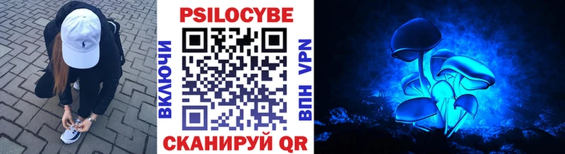 kraken вход  Фёдоровский  Псилоцибиновые грибы Cubensis 